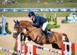 Healthy Horse Treats - Fall Of 2025